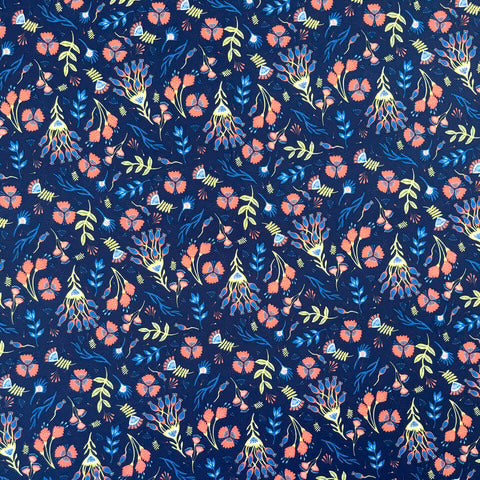 Swim Prints {2025}