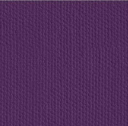 WH- Ladies Express tee regular length