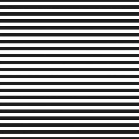 Black Stripe  - SWIM